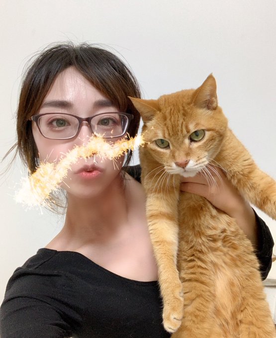 ニット帽外したらこんな頭になった人と脱いだセーターの上でもみもみし始めた猫🐈 
