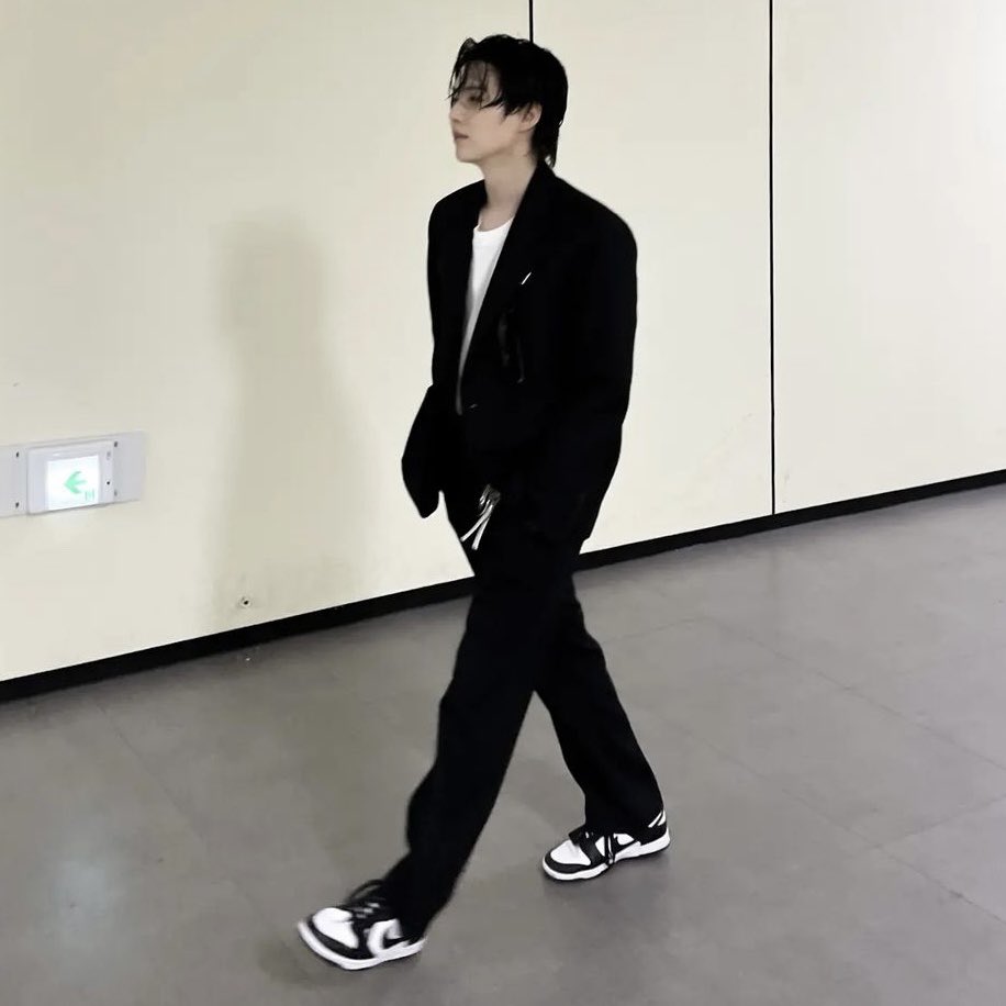 nike dunk low with suit