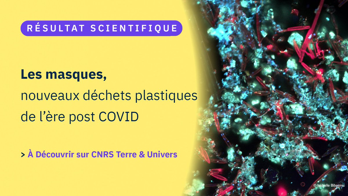 CNRS Terre & Univers tweet media