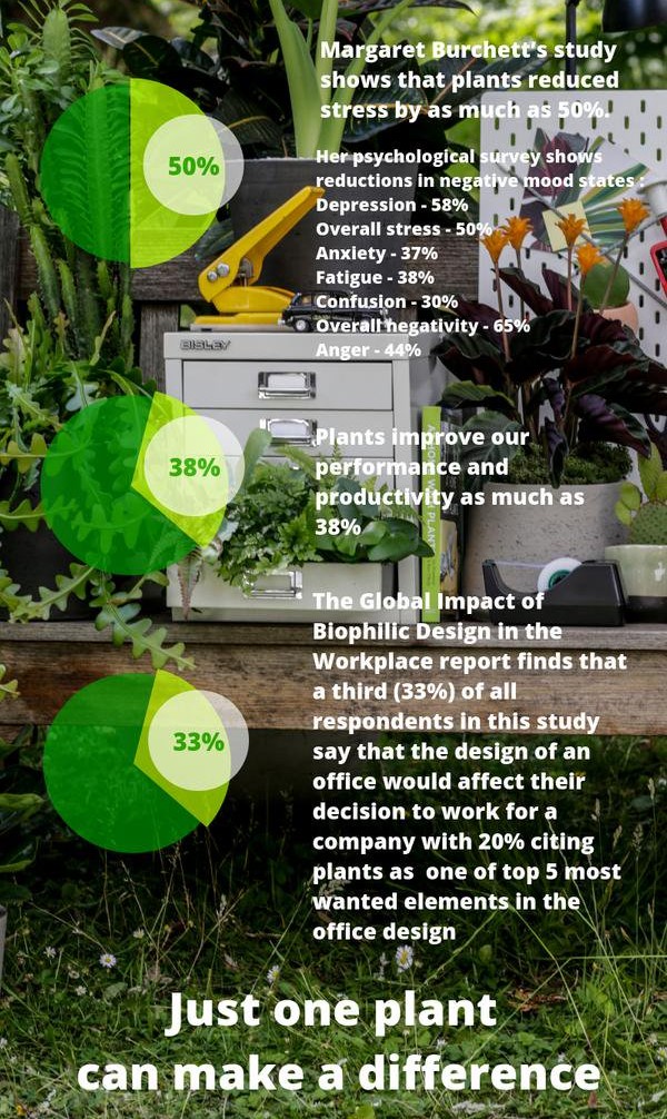 Just one plant can make a difference #wellness #OfficePlants #Biophilia #InteriorLandscaping