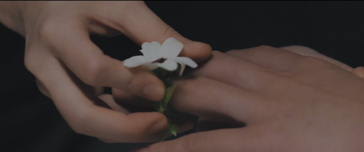 badbitchleehi's tweet photo. another cinematic masterpiece by leehi https://t.co/Ok248zAWwk