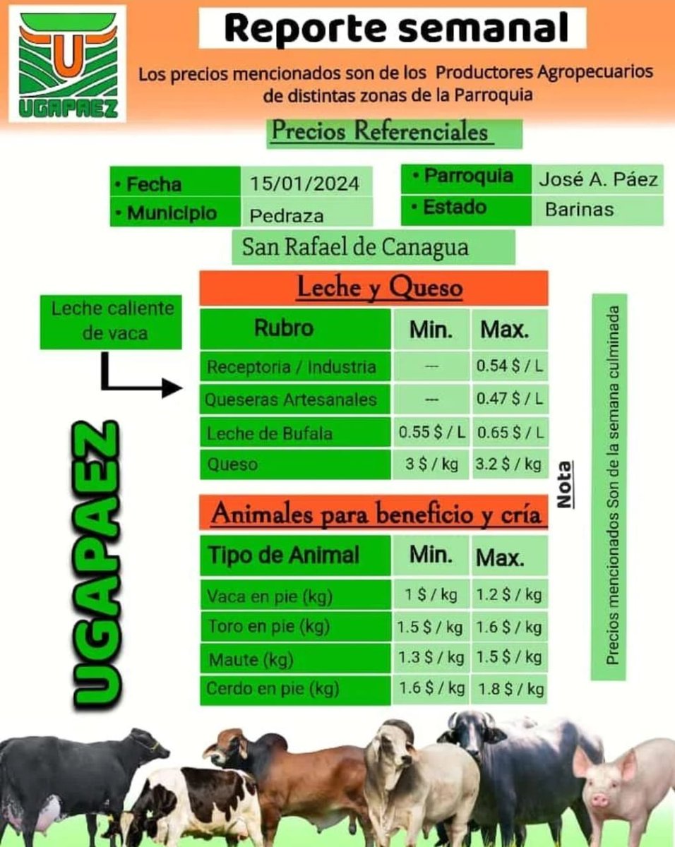 REPORTE SEMANAL. PRECIOS REFERENCIALES DE LECHE, QUESO Y CARNE.

#Barinas. Municipio Pedraza. Parroquia José Antonio Páez

Fecha: lunes #15Ene

Fuente: Unión de Ganaderos y Agricultores de la Parroquia Páez (UGAPAEZ) #Barinas

#Ganadería #UGAPAEZ #Agroeconomía #CampoCafeCiudad