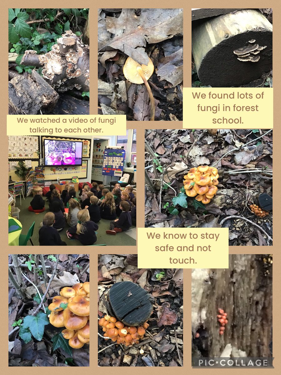 AGFS Reception tweet media