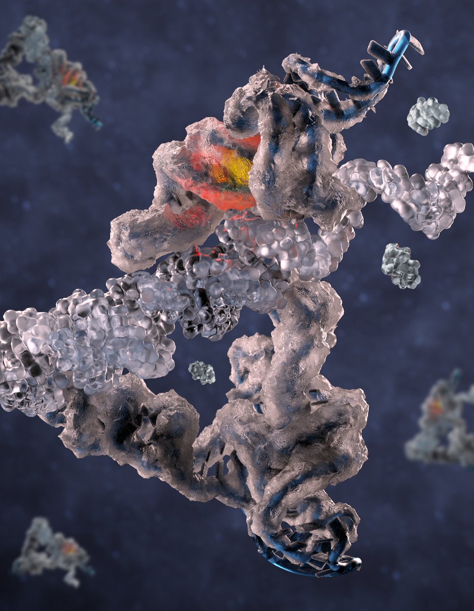 iNANO - Interdisciplinary Nanoscience Center (@inano_aarhusuni) on Twitter photo CryoEM unveils structure of nano-sized 'RNA copy machine,' a key player in the ancient RNA world. This breakthrough may fuel RNA nanotech and medical advancements. 🧬
<a href="/esandersen/">Ebbe Sloth Andersen</a>, <a href="/PhilHolliger/">Phil Holliger</a>, and <a href="/mcrae_ewan/">Ewan McRae</a> et al. publish findings in PNAS (<a href="/PNASNews/">PNASNews</a>).
inano.au.dk/about/news-eve… CryoEM unveils structure of nano-sized 'RNA copy machine,' a key player in the ancient RNA world. This breakthrough may fuel RNA nanotech and medical advancements. 🧬
<a href="/esandersen/">Ebbe Sloth Andersen</a>, <a href="/PhilHolliger/">Phil Holliger</a>, and <a href="/mcrae_ewan/">Ewan McRae</a> et al. publish findings in PNAS (<a href="/PNASNews/">PNASNews</a>).
inano.au.dk/about/news-eve…