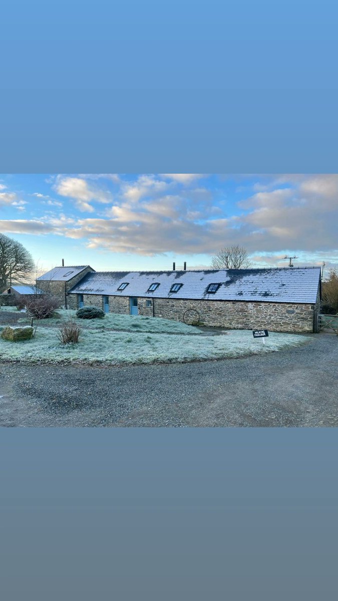 Enjoying the simple charm of a frost-kissed morning.

#preselihills #visitpembrokeshire