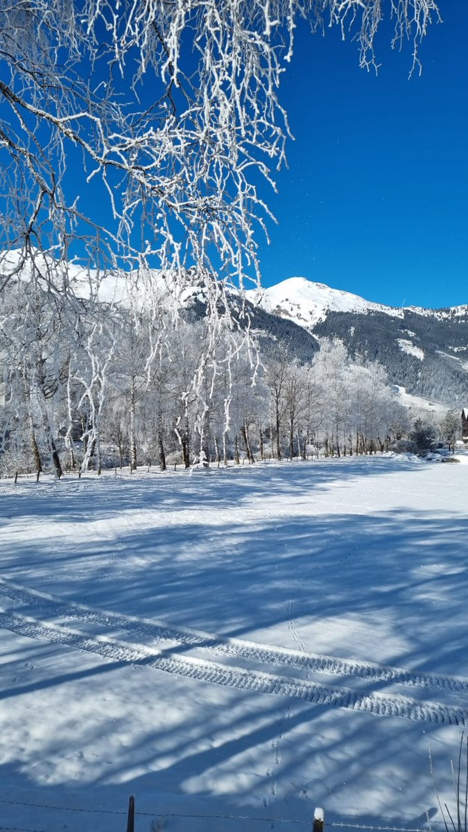 SusanSPTS's tweet image. Returned from my winter break with a self imposed Skiing ban!!
Still enjoyed the magical winter wonderland with snow showing and winter hiking. Plus the odd gluhwein! 😉