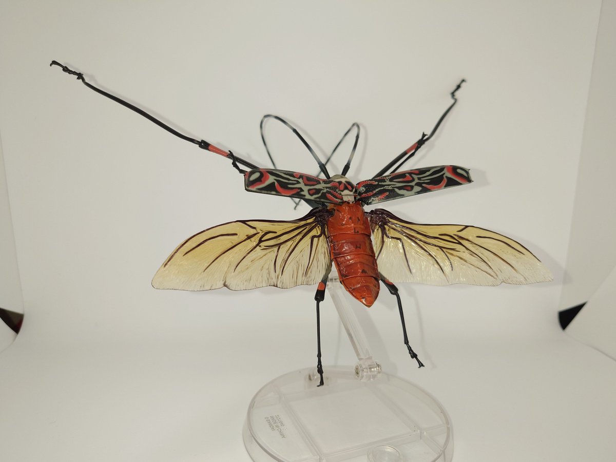 x3315@趣味垢 على X: 