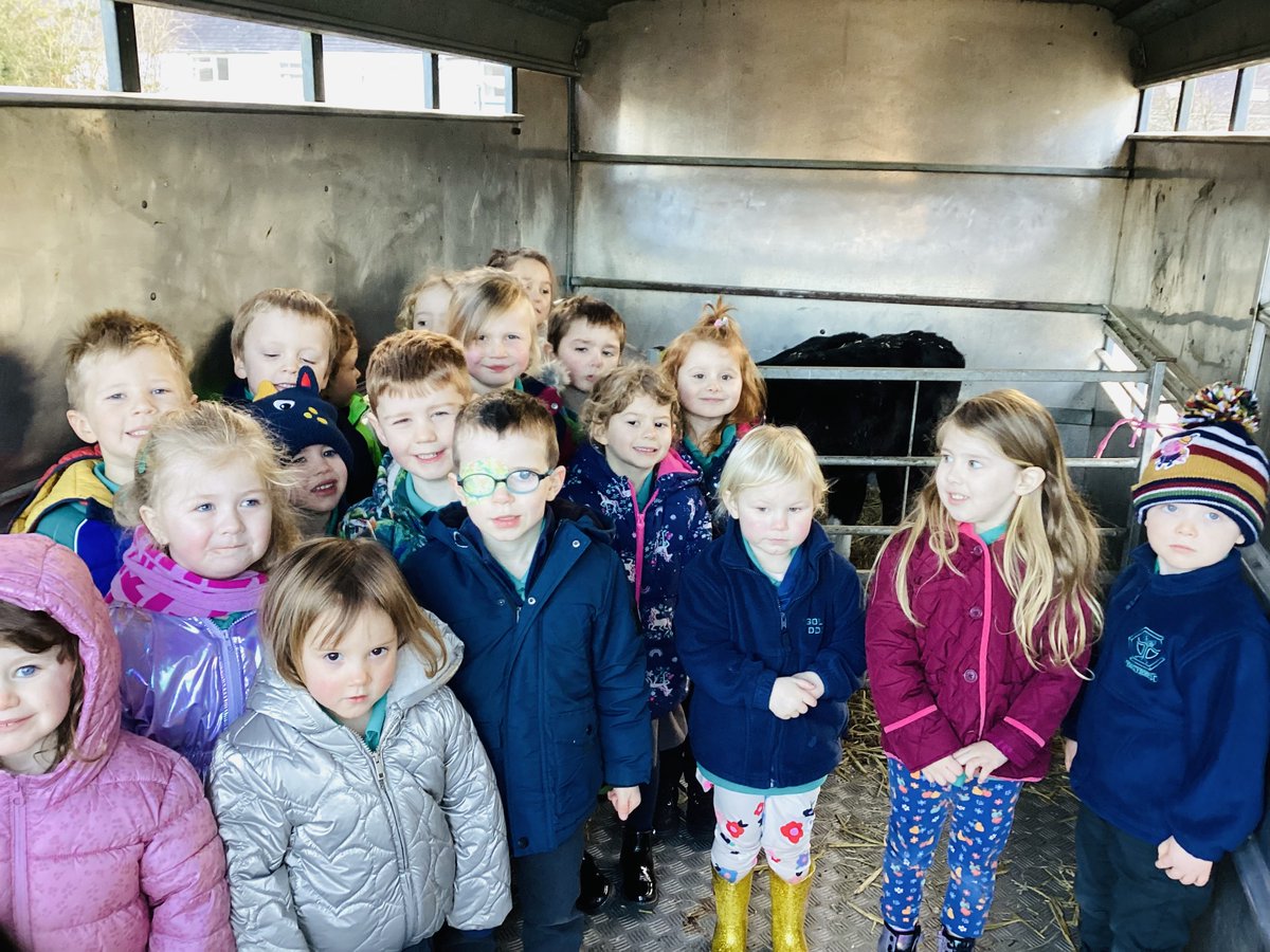 ysgol_y_dderi's tweet photo. Bore braf yn bwydo'r lloi bach! Tra bod y mamau'n cael eu godro ar Fferm Llanfair Fach, gwaith y plantos oedd rhoi llaeth i'r lloi bach. Diolch i Dafydd o 'Llaeth Llanfair'  am roi'r profiad yma iddynt 🐄🍼 #dysgubyw #amaeth @_OLW_ https://t.co/8MCCNcnFs0