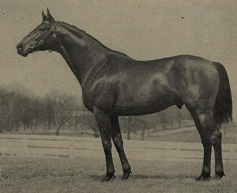 HORSERACING1002's tweet photo. BOYAR 🇺🇸 1961
(PRINCEQUILLO - BEE MAC BY WAR ADMIRAL) #Boyar
B/O King Ranch (KY) Apr 28, 1961
33-4-6-2---$19,615
Thistledown H.
Stood at King Ranch, Little Blue Sette, Lyle, Manado, Well Meaning, etc. https://t.co/7BE6Qfj6fN