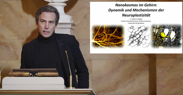 Der Vortrag von @ValentinNagerl „Nanokosmos im Gehirn: Dynamik und Mechanismen der Neuroplastizität“ im Rahmen der Öffentlichen Ringvorlesung @uniGoettingen, @adw_goe, @yourUMG und @MBExC_de ist jetzt auch als YouTube-Video verfügbar: youtube.com/watch?v=aFCFgv…