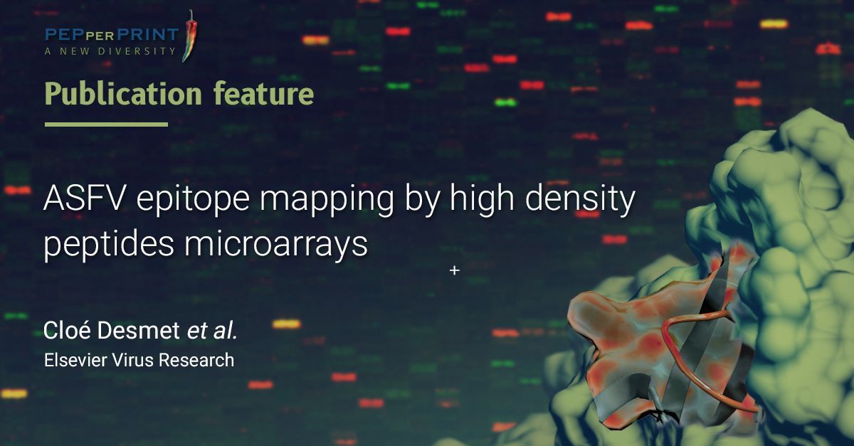 PEPperCHIP's tweet photo. Exciting new research! It unveils novel insights using PEPperCHIP® African Swine Fever Virus Microarrays for #EpitopeMapping. Identifying potential protective antigens marks an advance in #ASF #VaccineDevelopment. Full publication here: https://t.co/CbKOeytTva
#PeptideMicroarray https://t.co/Hf7P46ll6a