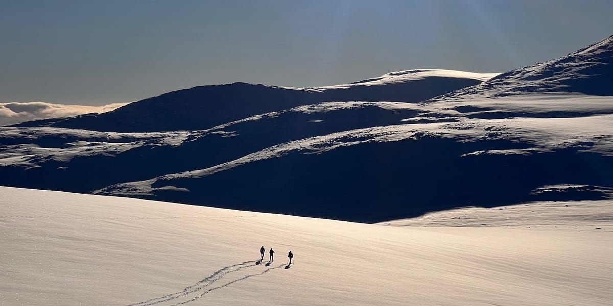 Winter is a world of possibility. In my latest Substack post I talk about how I got over my fear of hillwalking in winter, and the huge rewards to be gained from immersing yourself in the Scottish winter landscape. #scotland #winter
buff.ly/3U5EZXl