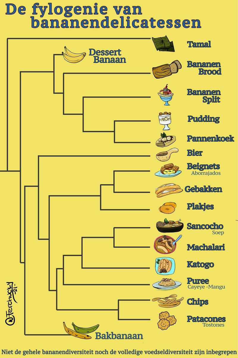 Dr. Banana (Ph.D) 🍌 tweet media
