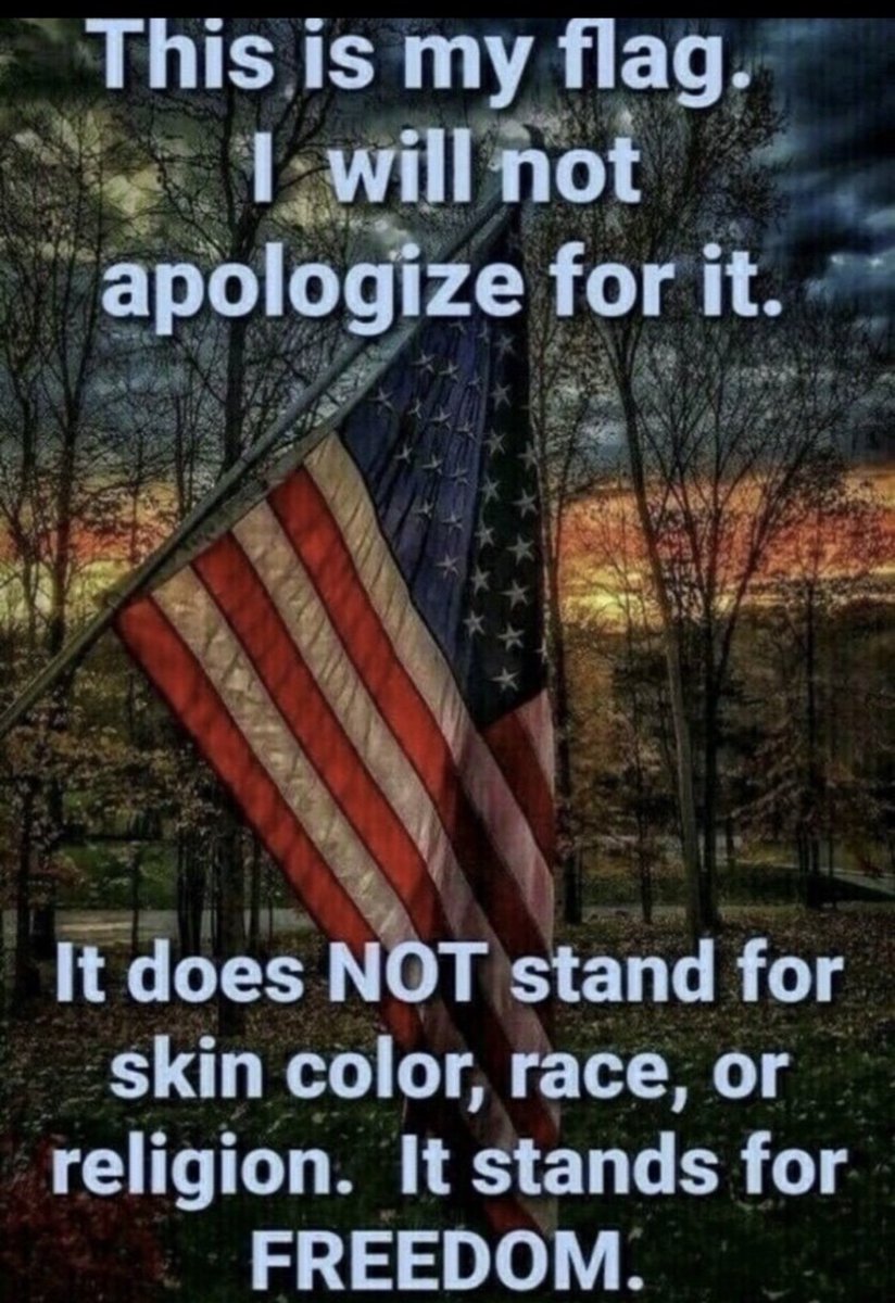 Marv 🇺🇸 tweet media