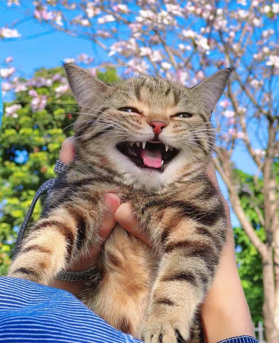 the photographer called him pretty