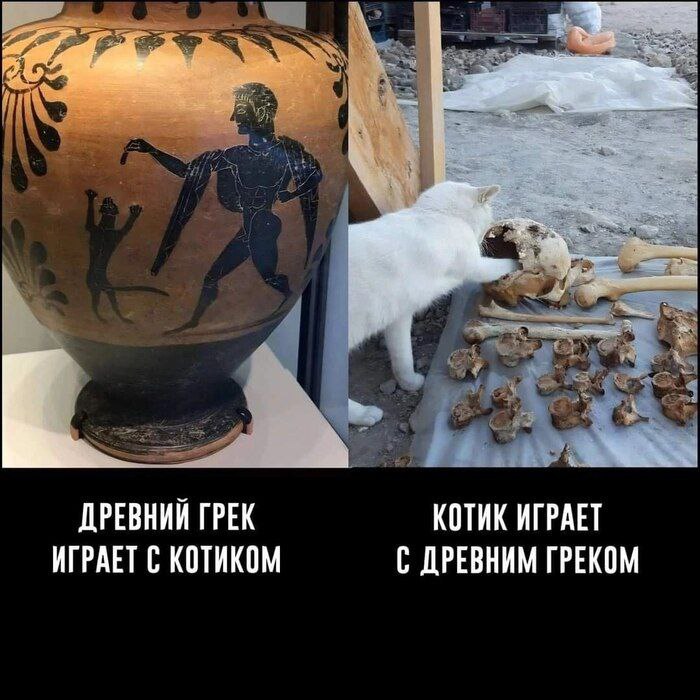доктор Макс Кауфман, эсквайр. (@deskvajr) on Twitter photo 