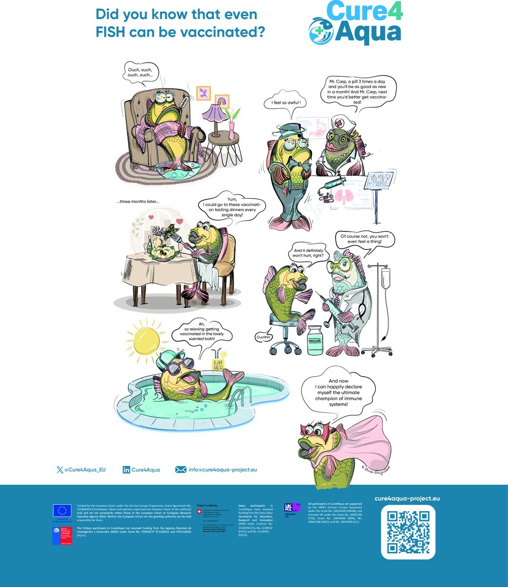 🐟 Did you know that fish can be vaccinated too?  

 🩺Our new cartoon highlights in a fun way how vaccination can help control fish diseases, increase their welfare, and contribute to food security.  

 Check it out! #FishHealth #FishWelfare #Aquaculture #FoodSecurity