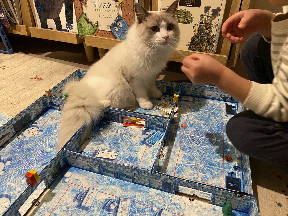 BREMEN_Games's tweet photo. アイスクールが箱だし駒だし魚だし、猫の好きなものだらけだった件🐱 https://t.co/MIocAAsd91