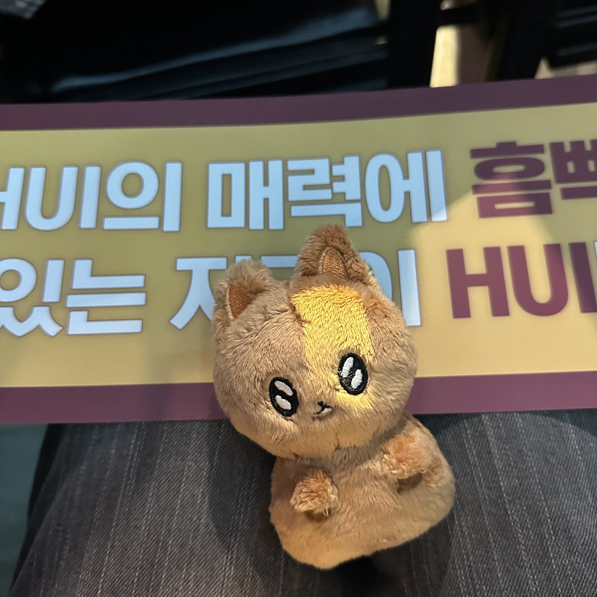 후솜이도 흠뻑🎸