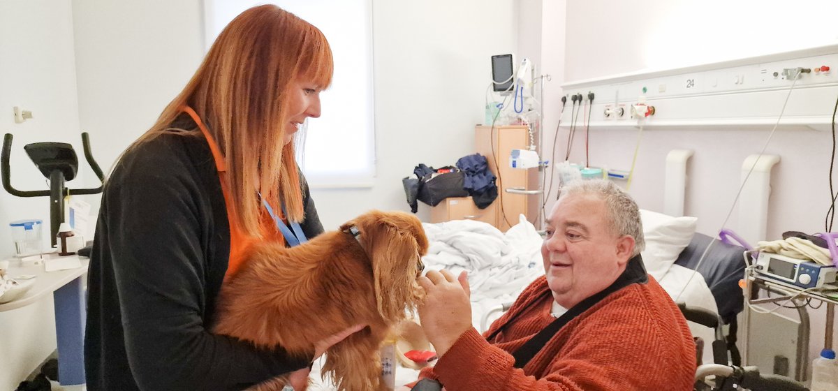 🐕‍🦺  Continuing #WalkYourDogMonth with our brilliant @PetsAsTherapyUK dogs at King's! Meet Cooper and his owner Lisa, part of @Kingsvolunteer1. On their hospital walk last week, they met Stuart, a patient at King's, who was excited to meet Cooper. More ➡️ bit.ly/3Shb8Ka