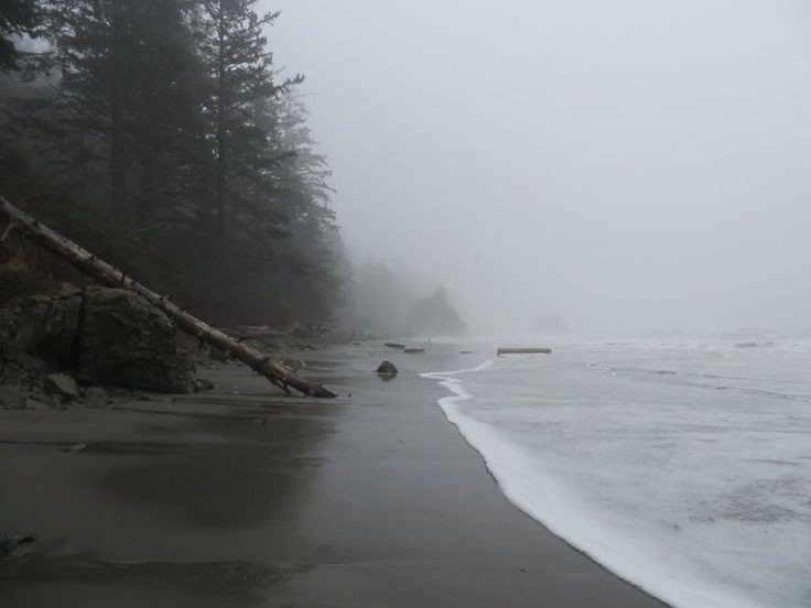 mycelticmoon's tweet photo. Gloomy beach. https://t.co/ccjpxyrMbz