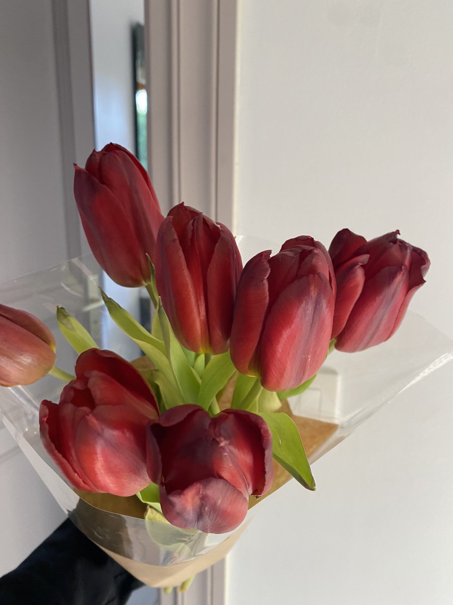 spiderrmxn's tweet photo. regardez les tulipes que mon h capable m’a offert https://t.co/16KxgMcp8s