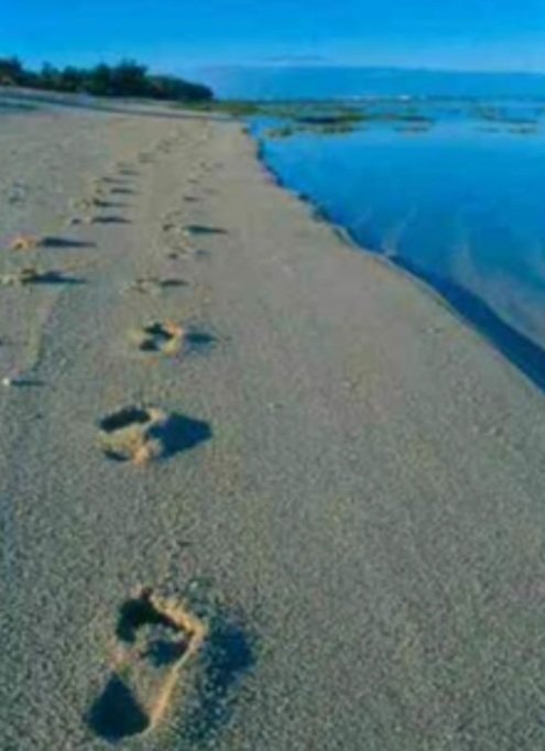 MaraBussani's tweet photo. #CasaLettori @CasaLettori
#ConLeParole
Il non vissuto. 
Quel che poteva essere e non è stato.
Quello che colpevolmente trascuriamo, certi di avere un tempo infinito, che invece finisce. 

P. Listone https://t.co/1XzKT2l1Pm