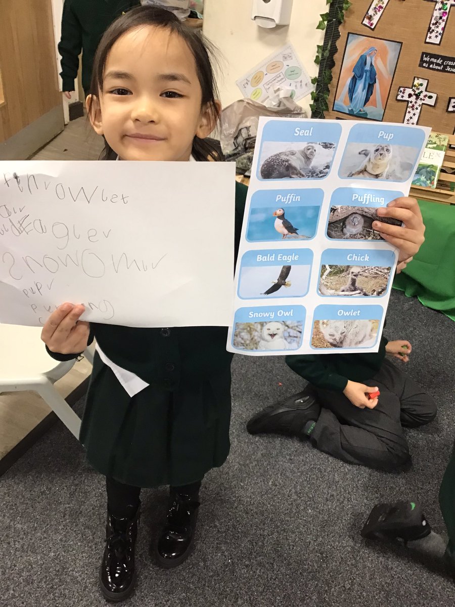 EYFSSJV's tweet photo. In reception this morning we have been looking and drawing arctic animals. #SJVscience #RA #SJVoracy https://t.co/h6384X9LxF