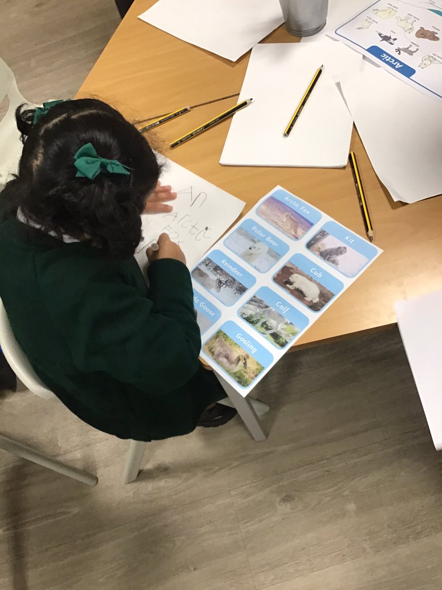 EYFSSJV's tweet photo. In reception this morning we have been looking and drawing arctic animals. #SJVscience #RA #SJVoracy https://t.co/h6384X9LxF