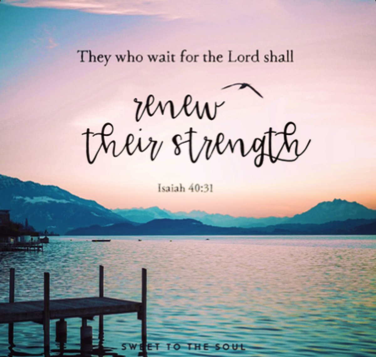 JudiGatson's tweet photo. GM βοΈ Waiting isnβt really about going from where you are to where you want to be β¦ itβs all about going from who you are to who you want to be. #WaitTraining #HoldTheVision #TrustTheProcess πππ½ππ·π¦ππ«β¨ https://t.co/fNRhRRAR9o