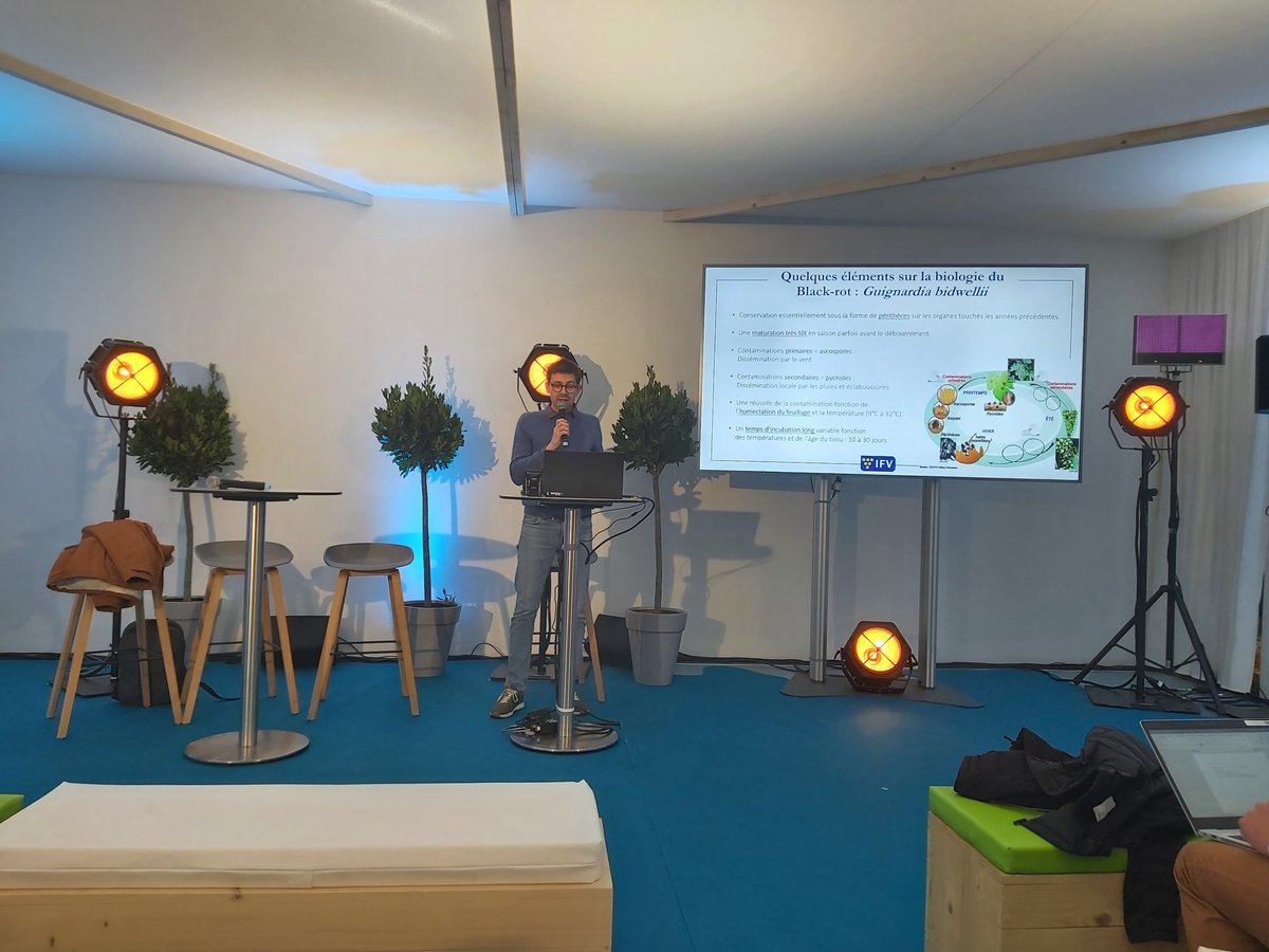 vignevinfrance's tweet photo. 📸 Retour en images des conférences IFV au Forum bio contrôle – santé des plantes au Sival Angers avec Guillaume DELANOUE et Xavier BURGUN sur le Black Rot et le Bio contrôle https://t.co/0lKT5yG7A1