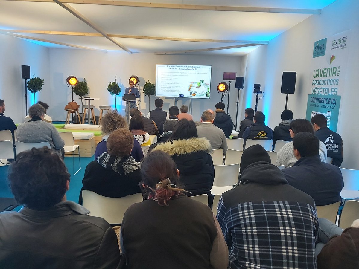 vignevinfrance's tweet photo. 📸 Retour en images des conférences IFV au Forum bio contrôle – santé des plantes au Sival Angers avec Guillaume DELANOUE et Xavier BURGUN sur le Black Rot et le Bio contrôle https://t.co/0lKT5yG7A1