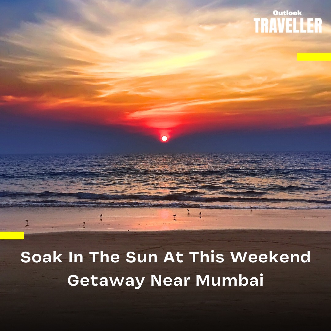 oltraveller's tweet photo. #HiddenGems | Mumbaikars! Did you know that, located less than 200 km from Mumbai, this beach is the perfect escape for those looking for a quiet weekend break?
#OutlookTraveller #OTWeekendGetaways
https://t.co/6Aeu9uEXMZ https://t.co/TuJTxwjbAZ