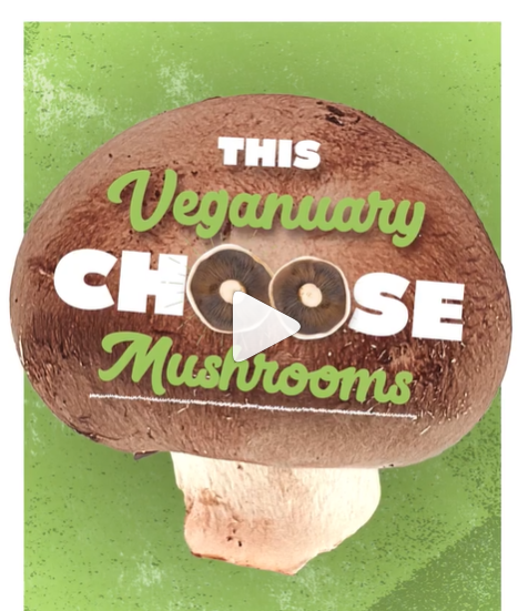 Best way to beat the January blues? Hearty, healthy and delicious food 🙌

Whether you're giving #Veganuary a go, want to start eating healthier in 2024, or just in need of new recipe inspo, we’ve got just the thing…
morewithmushrooms.com/recipes/