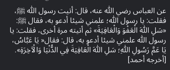 Shrouk Emara 🌵 (@shroukemara7777) on Twitter photo 