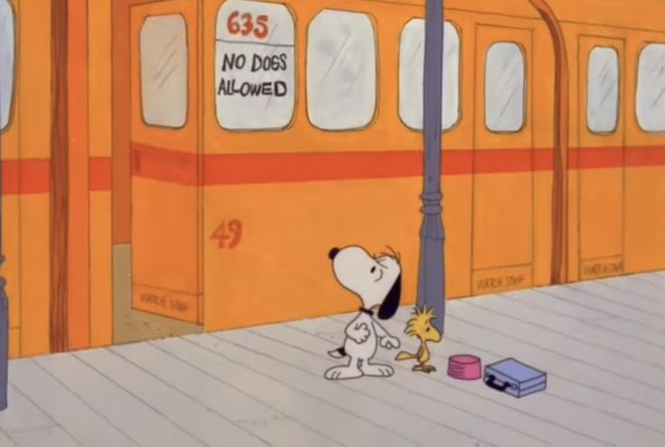 a_carrot_bagel's tweet photo. 🚃🥏🥤🪟🍐🪴 https://t.co/xfS23y2YTF