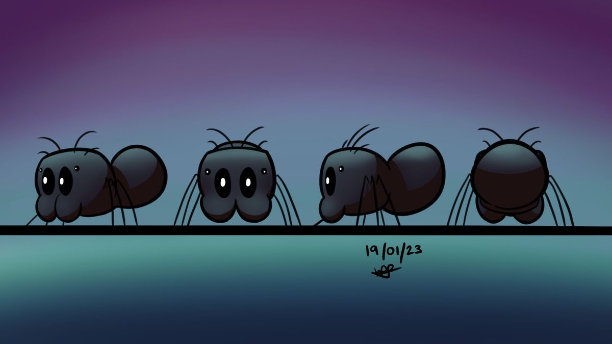 StretchAnimated's tweet photo. Travelling back to 2023 to have a look at the character concept art we made for 'Ari', the spider protagonist of our animated short-film 'Arachnicked'!

#2danimation #shortfilm #conceptart #2dart #digitalart #spider #cartoon #animatedshortfilm #characterdesign #creaturedesign https://t.co/KN896UZN4U