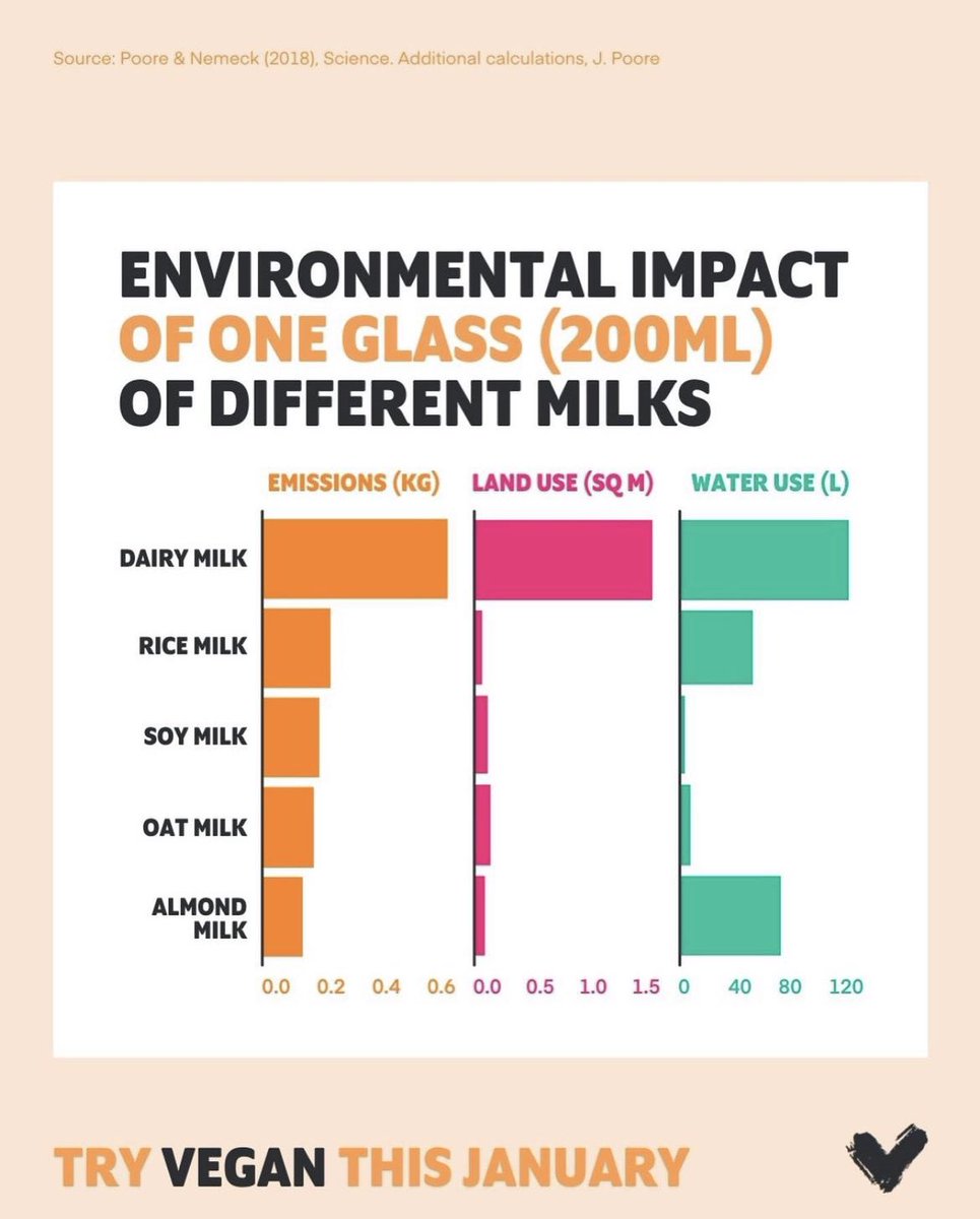 We are very proud of our brand and product. Panther M*lk is a boozy beverage that is not only creamy and divine but is also more sustainable than other dairy based alternatives! Check out the graph below from <a href="/veganuary/">Veganuary</a>. 
Little swaps make all the difference! 

#veganuary
