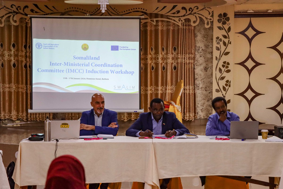 📍Berbera Thanks to @EU_in_Somalia funding, a collaborative meeting is taking place among key Somaliland government ministries including @SLMoPND, @MOECC_JSL, @slmoadt, @Mowrdsl, @of_livestock, National Disaster Preparedness & Food Reserve Authority(NADFOR) alongside @FAOSWALIM.