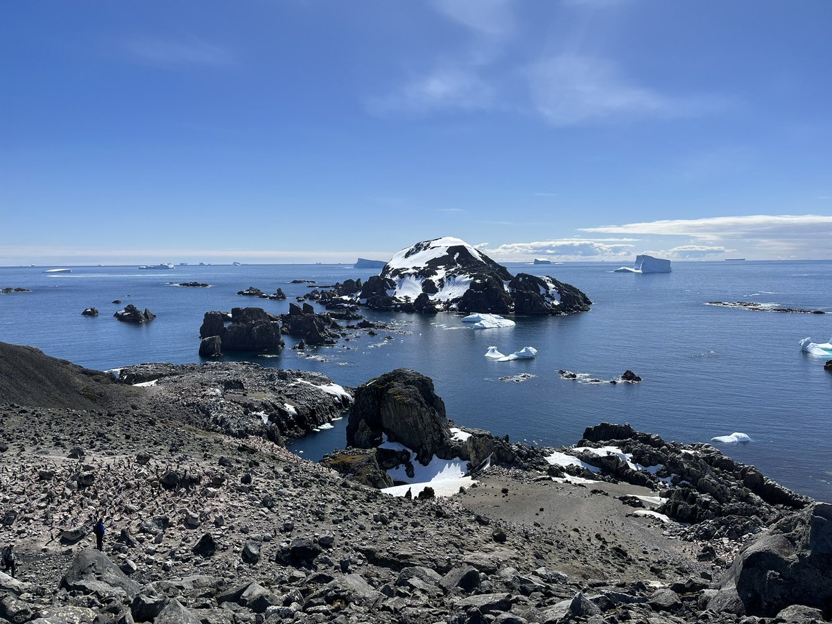 Clare Boston tweet media