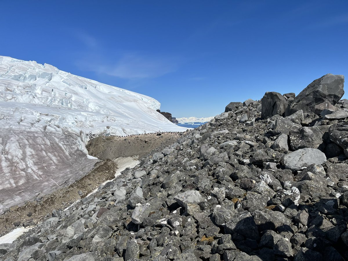 Clare Boston tweet media