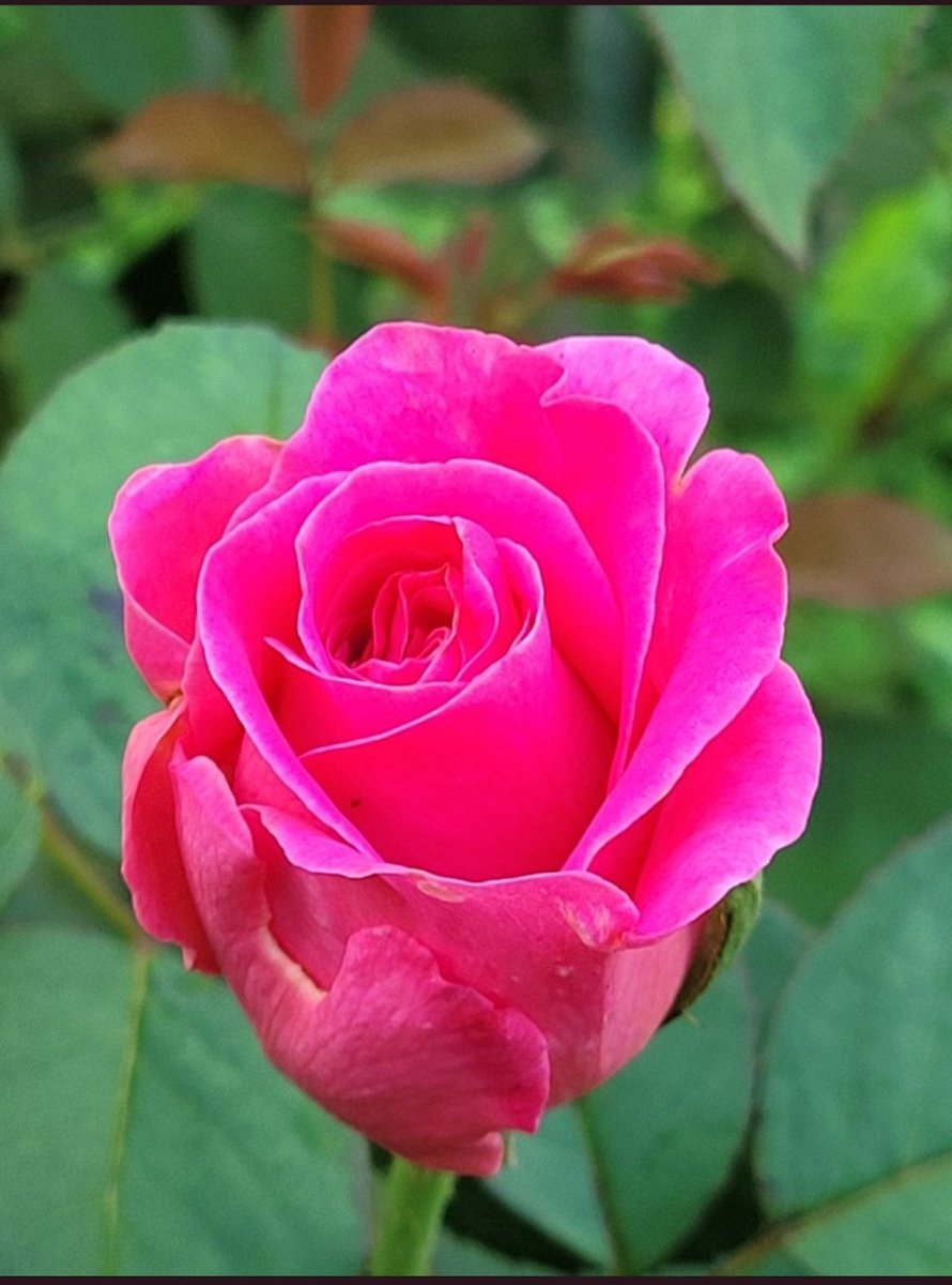 1205ocy's tweet photo. https://t.co/ecQb8dALJY