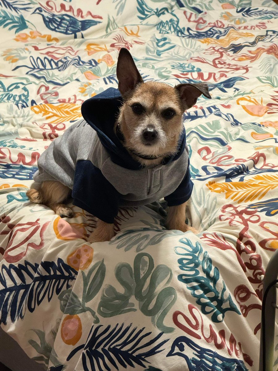 He does not look happy at all