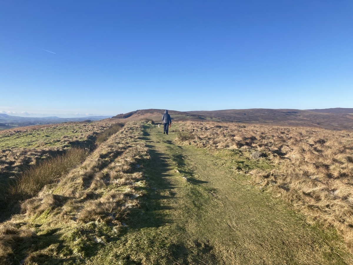 Dog walking on the moors above Wharfedale yesterday. Pendle Hill visible in the distance. Biting cold wind. So glad I didn't enter the spine race this year.😂😂😂