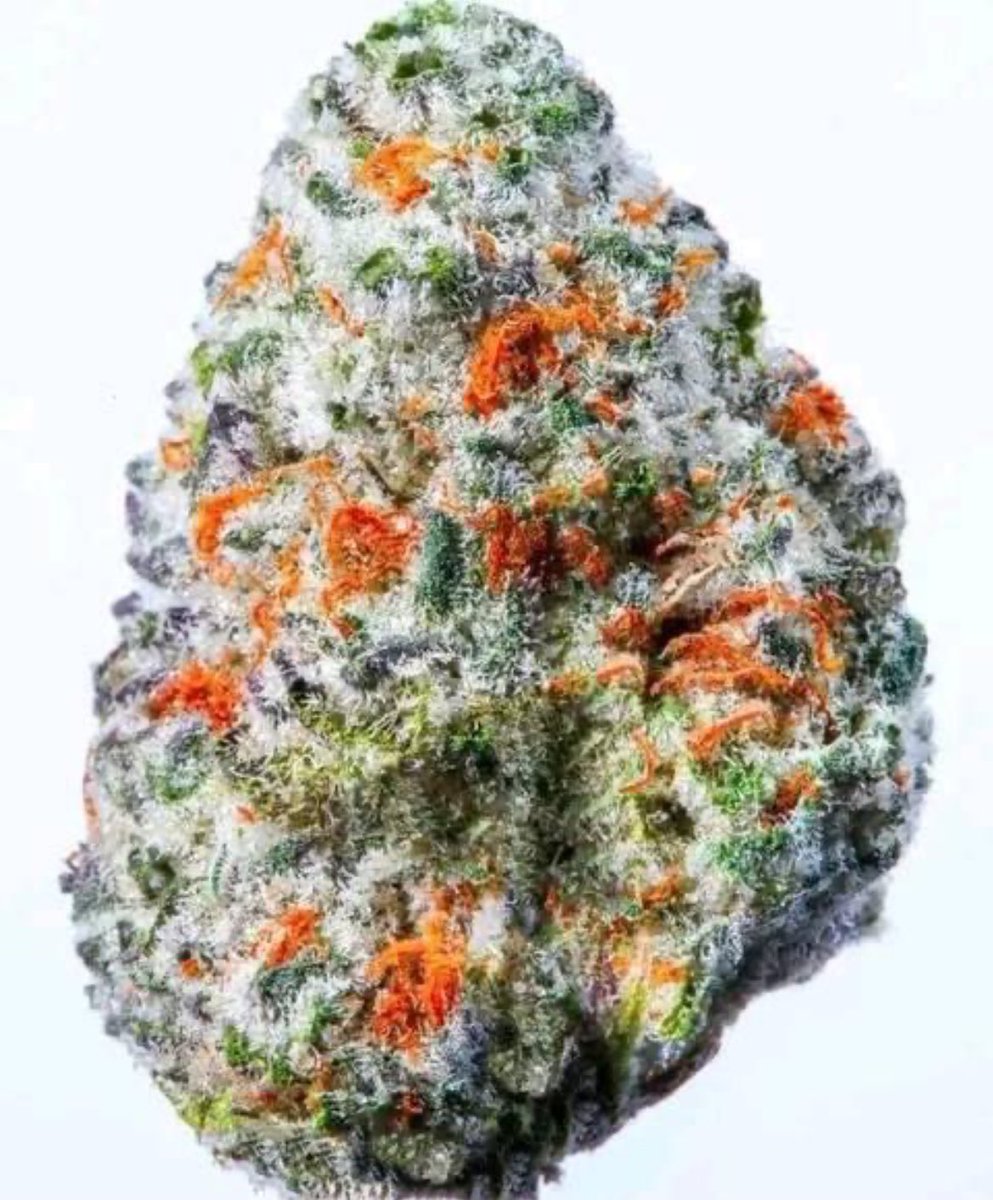 Fernand49034227's tweet photo. Drunk Driver 🍺🍁
#weed #sherb 
📸stella jones https://t.co/PyLsJvzZRN