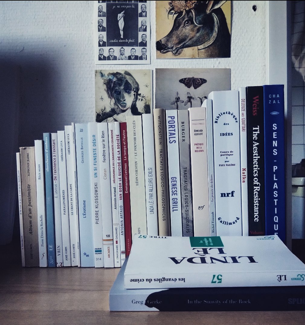 TobiasvRyan's tweet photo. someday I hope to be the person I think I am when I look at myself in the books on my desk https://t.co/dChHTkAj3f