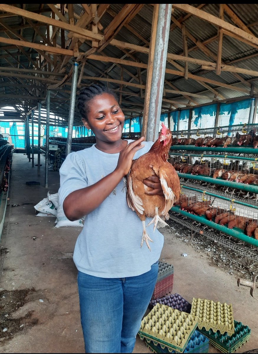 Moduupeoluwa's tweet image. I love Agriculture. 

I am a Layers Poultry Farmer

I also share about my Poultry experience on YouTube, 

youtube.com/@modupemonebi

You will sure find something interesting on my channel