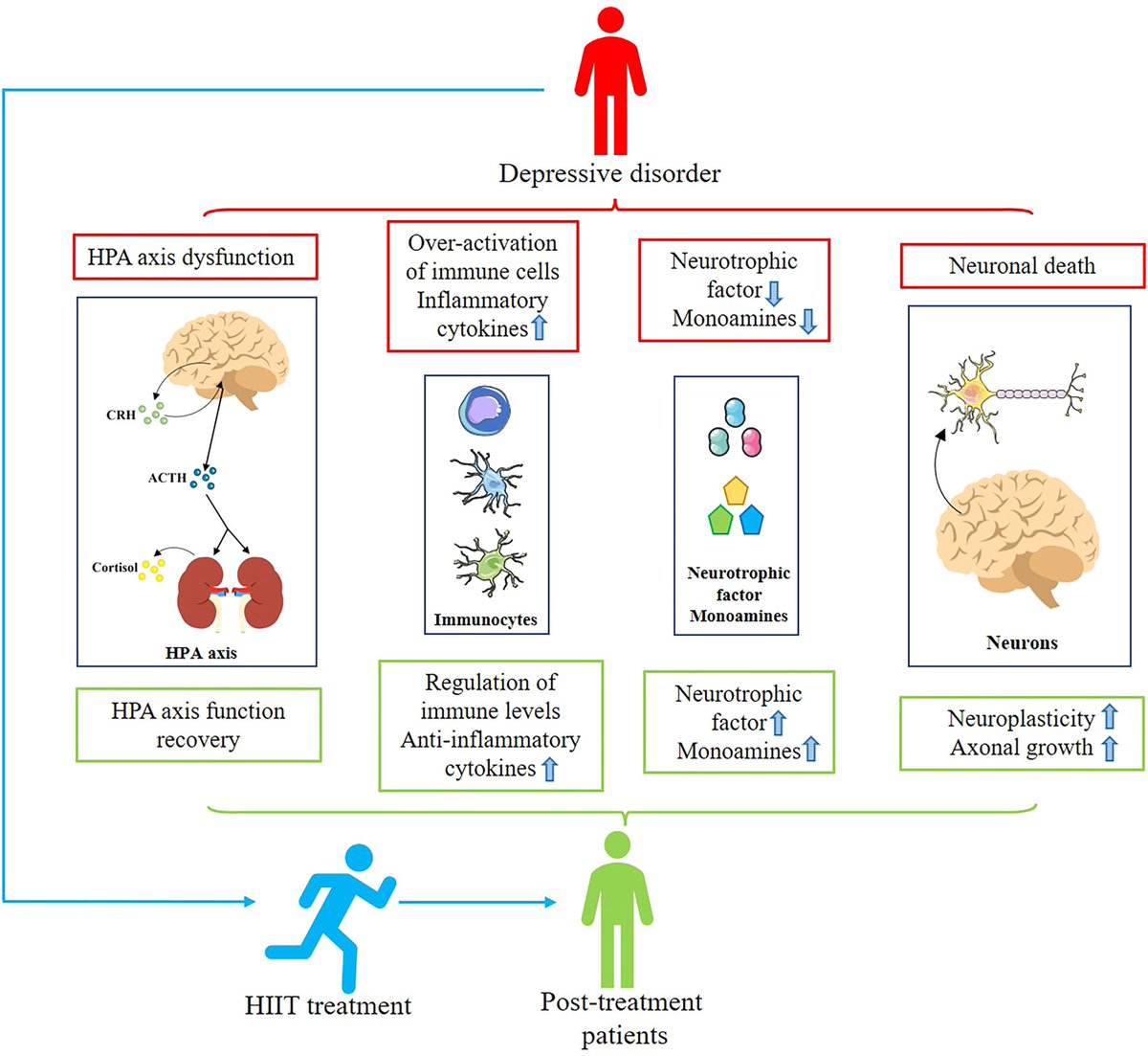 ChristophBurch's tweet photo. Clinical value and mechanistic analysis of HIIT on modulating risk and symptoms of depression: A systematic review…
https://t.co/eoLMTwIXZT https://t.co/eJL5rOS2yY