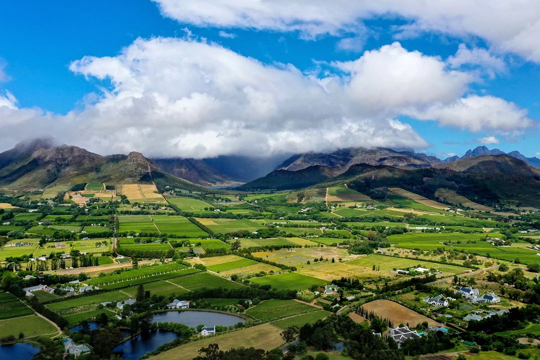 SobAlert's tweet photo. @SobAlert pairs so well with this tasty and gentlest of wines from the @Franschhoek_SA Gourmet valley. 
#TuesdayBrunch
#SobAlert #ultralifestyle
#Health
#energy
#Foodie
#winelover
#nohangover https://t.co/7harLARZt3