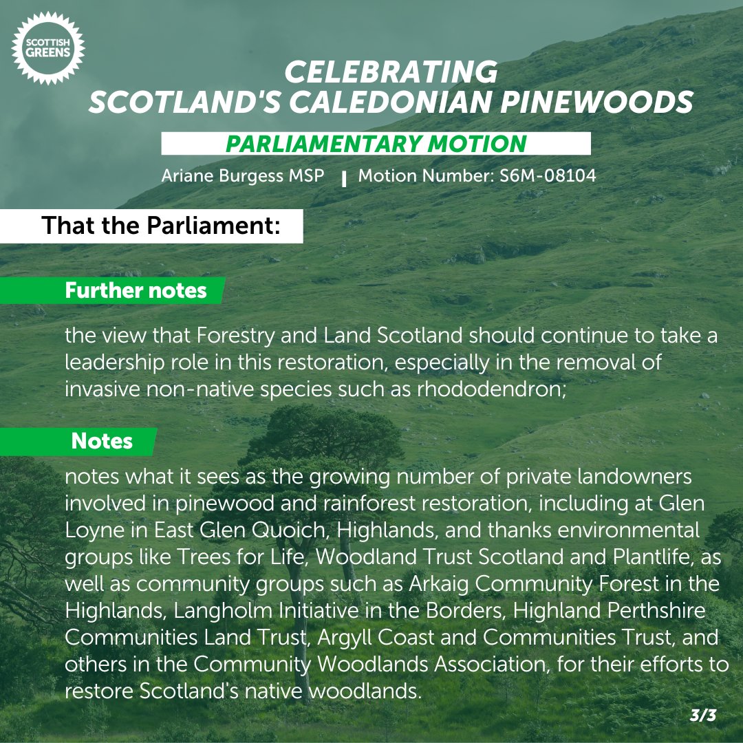 I am delighted to have lodged a motion to celebrate Scotland's national native woodlands. 🌳The motion will be debated just before the 10th anniversary of Scots pine becoming the country's national tree, on 29 January 2024. #CaledonianPinewoods #ScotsPine #ScotlandsRainforest